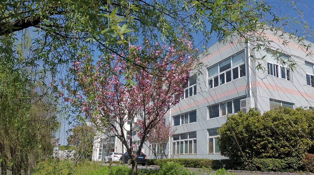 1691399265878047.jpg 03.jpg